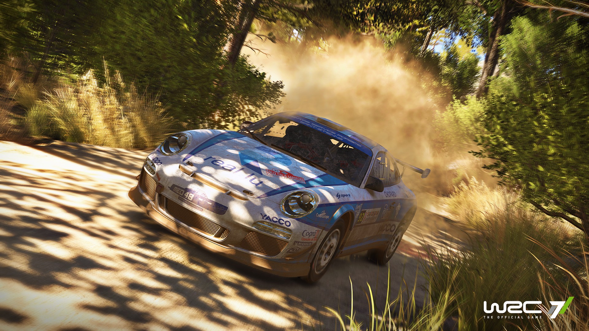 WRC7 InGame Porsche